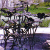 Dogwood Fountain